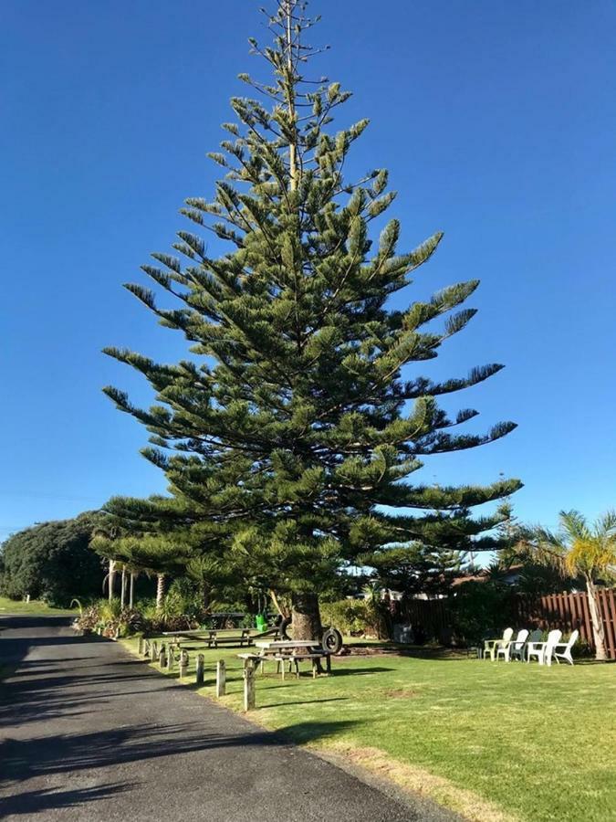Beaches Motel Waihi Extérieur photo